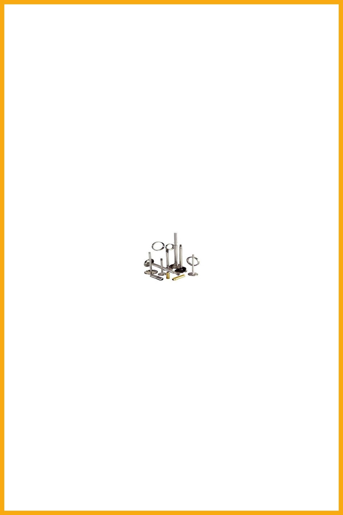 AAVDAN Subap Gaydı Master 2,5 Dcı 16v (g9u) / (16 Gayd)