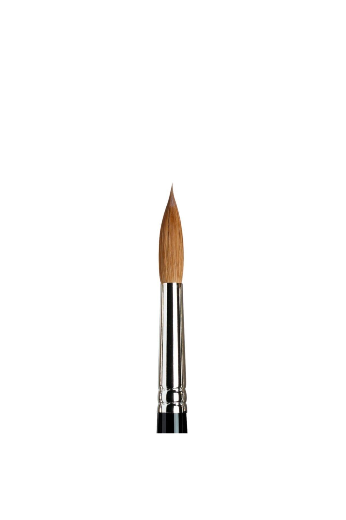 Winsor Newton Winsor & Newton : Seri 7 Samur Yuvarlak Fırça No : 11