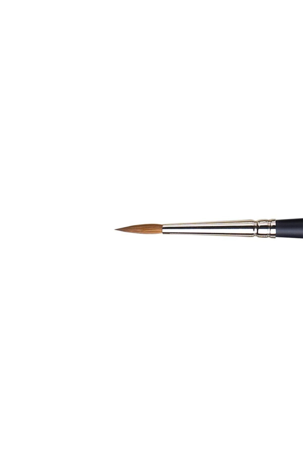 Winsor Newton Winsor & Newton : Professional Samur Kısa Sap Yuvarlak Fırça No:4