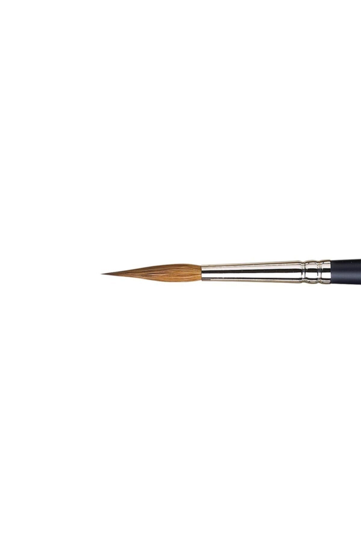 Winsor Newton Winsor & Newton : Professional Samur Kısa Sap Sivri Uç Fırça No : 6