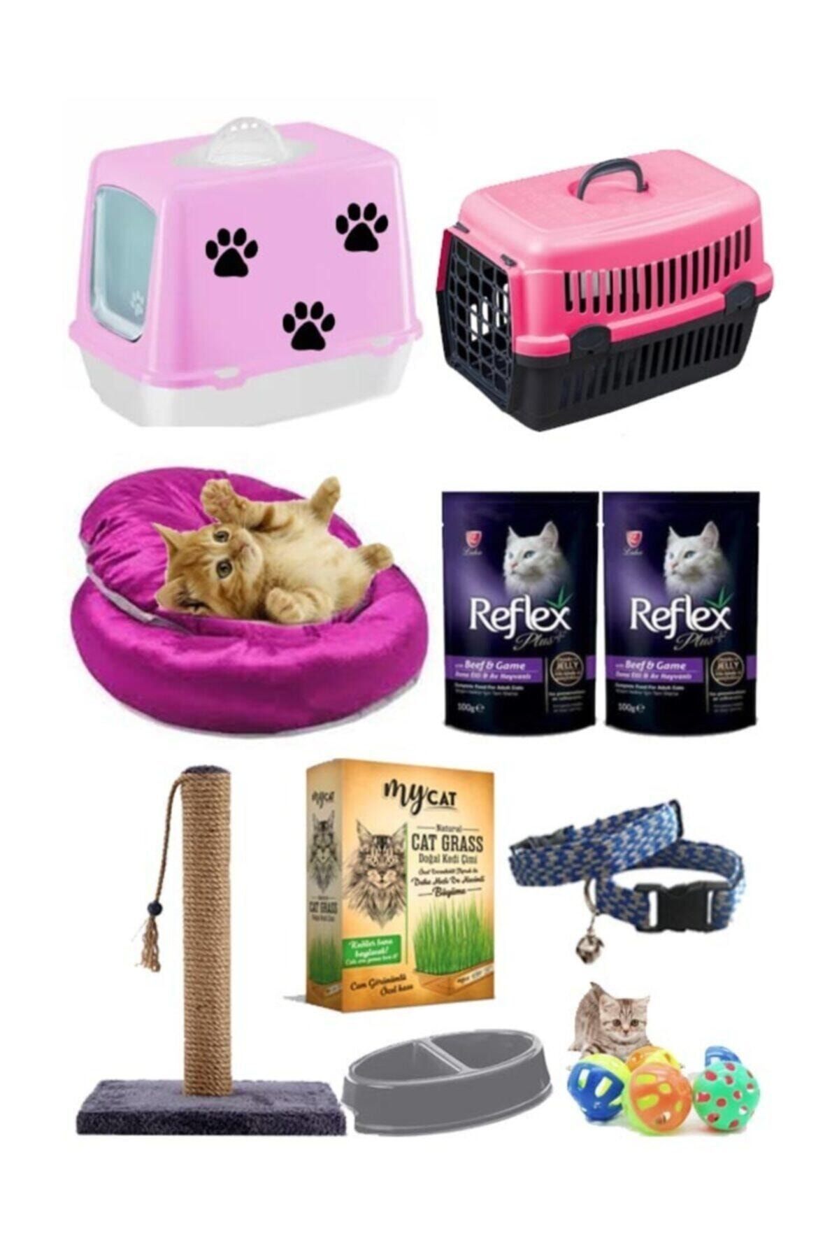 Pet Style Kedi Tuvalet Seti Ve Ihtiyaçları 10'lu Paket