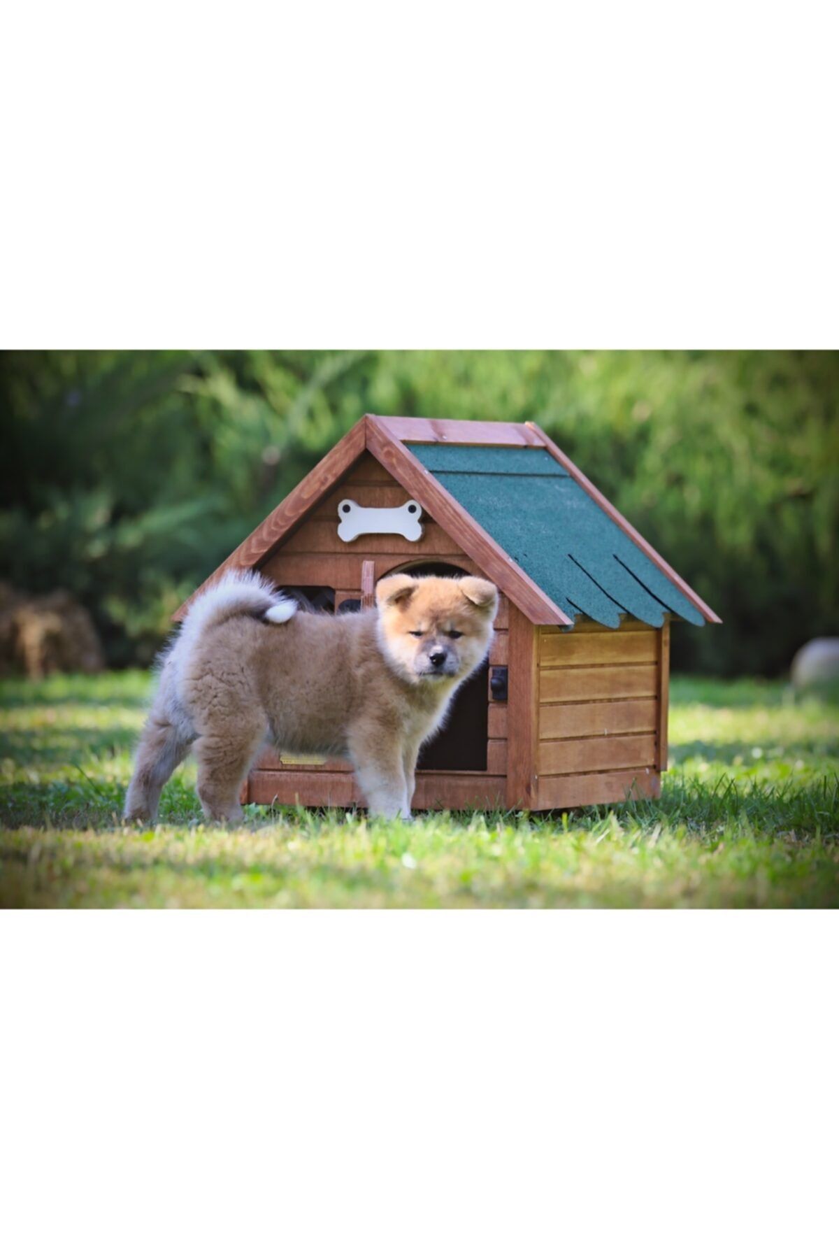 MANDU Isı Yalıtımlı Ahşap Kedi-köpek Kulübesi (SMALL)