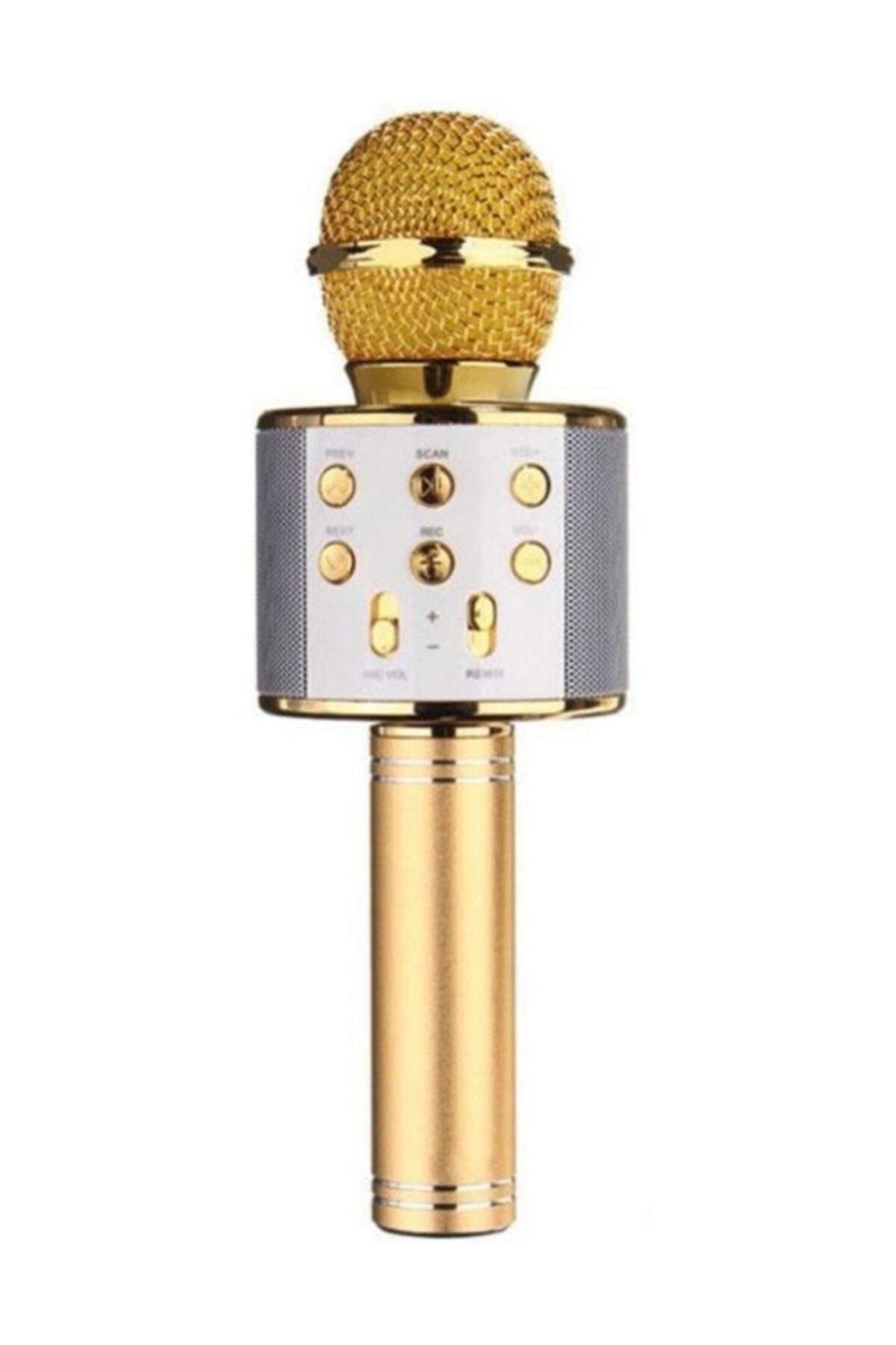 pazariz Profesyonel Karaoke Mikrofon Wster Ws-858 Modeli Gold