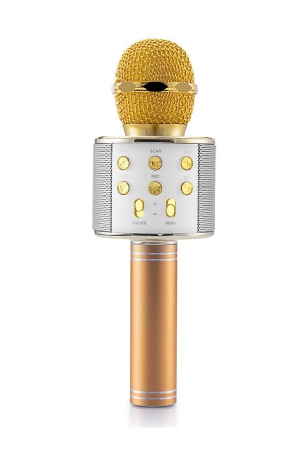 pazariz Platoon Pl-2462 Bluetooth Karaoke Mikrofon Sd-usb Gold Rengi