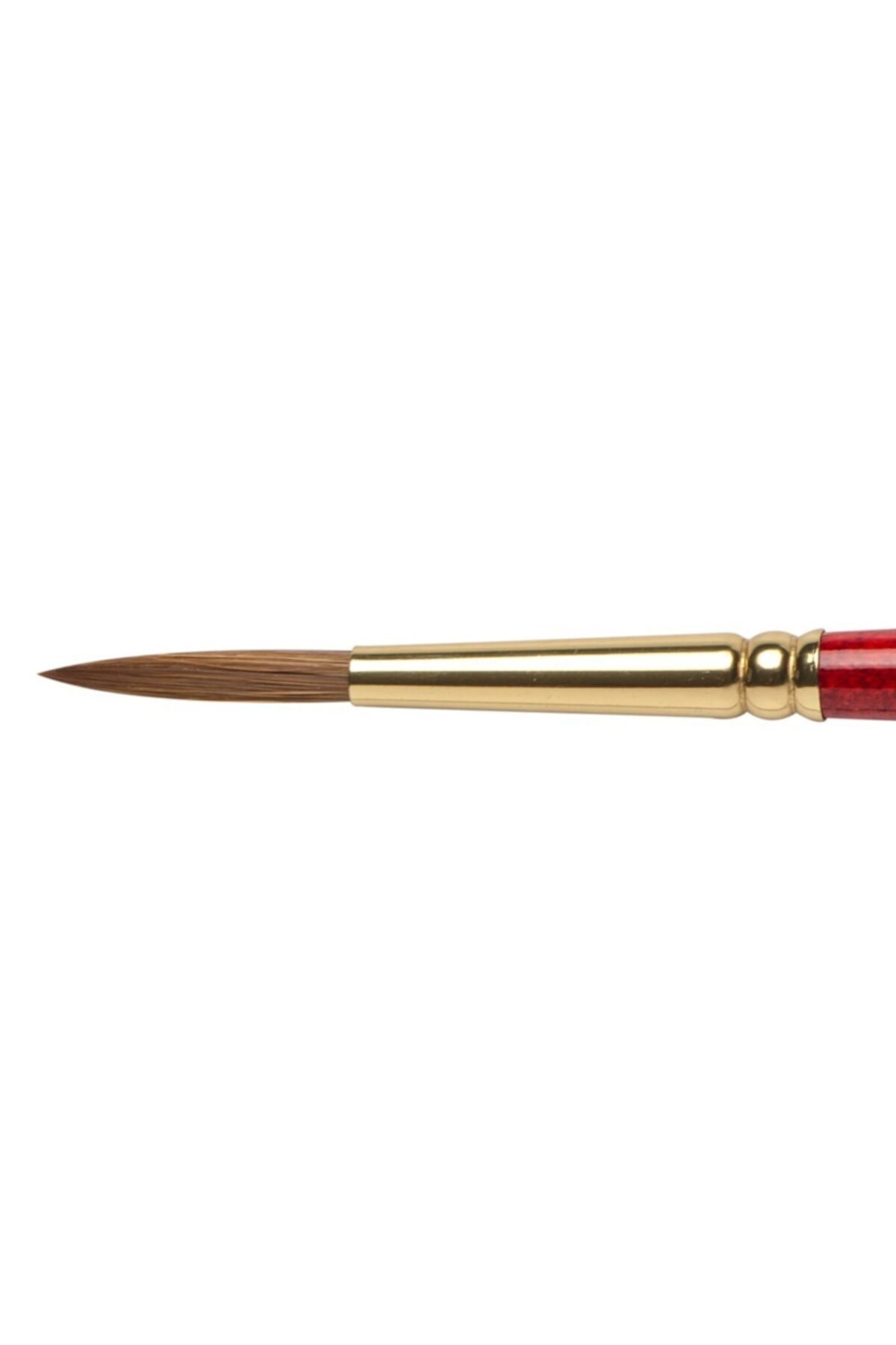 Winsor Newton Winsor & Newton : Sceptre Gold : 202 Serisi Kısa Sap Tasarım Fırçası No : 6