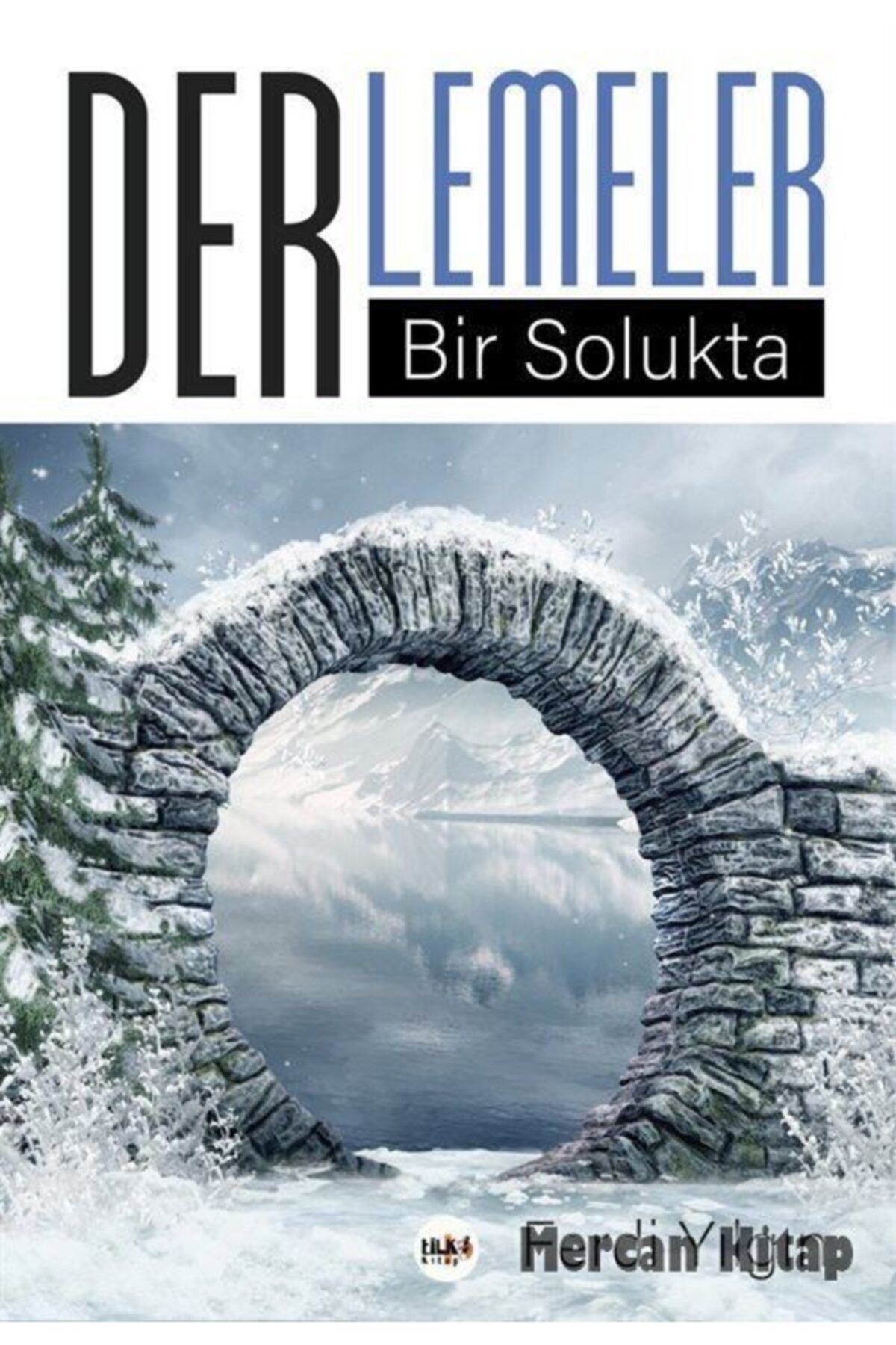 Tilki Kitap Derlemeler