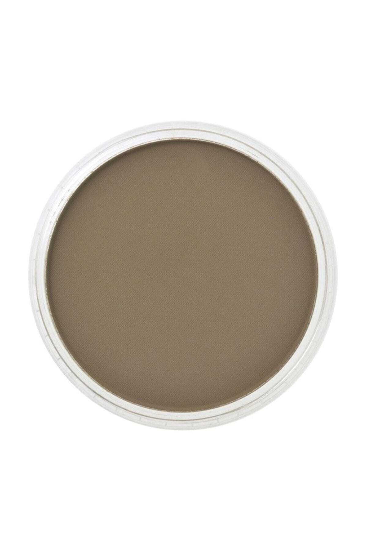 Panpastel No:780.5 Raw Umber