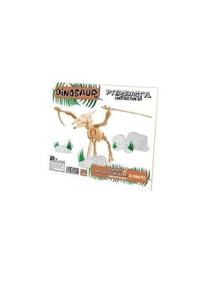 Pterodactyl, Ahşap Kit Image 0