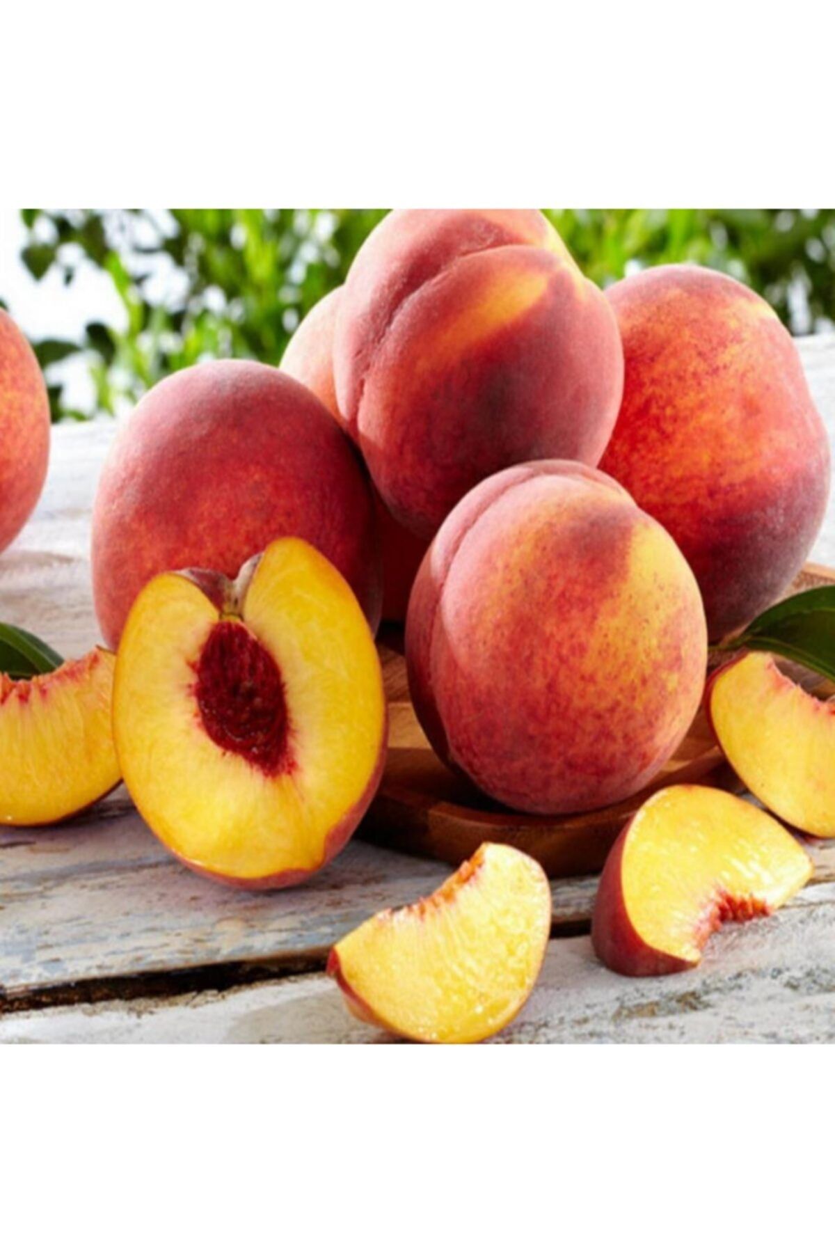 EvveBahce Tüplü Aşılı Özel Aromalı Bol Verimli Tam Bodur Carselet Şeftali Fidanı