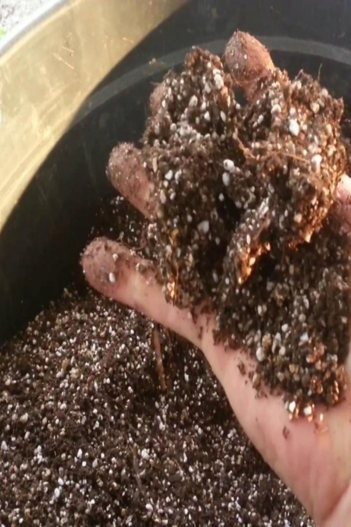 EvveBahce Genel Kullanım Torf Kokopit Pomza Toprak Harcı 180 Litre