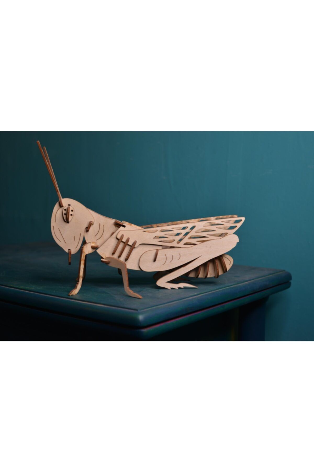 AlibabaPuzzle %100 Ahşap 3d Puzzle Model Ahşap Çekirge Maketi