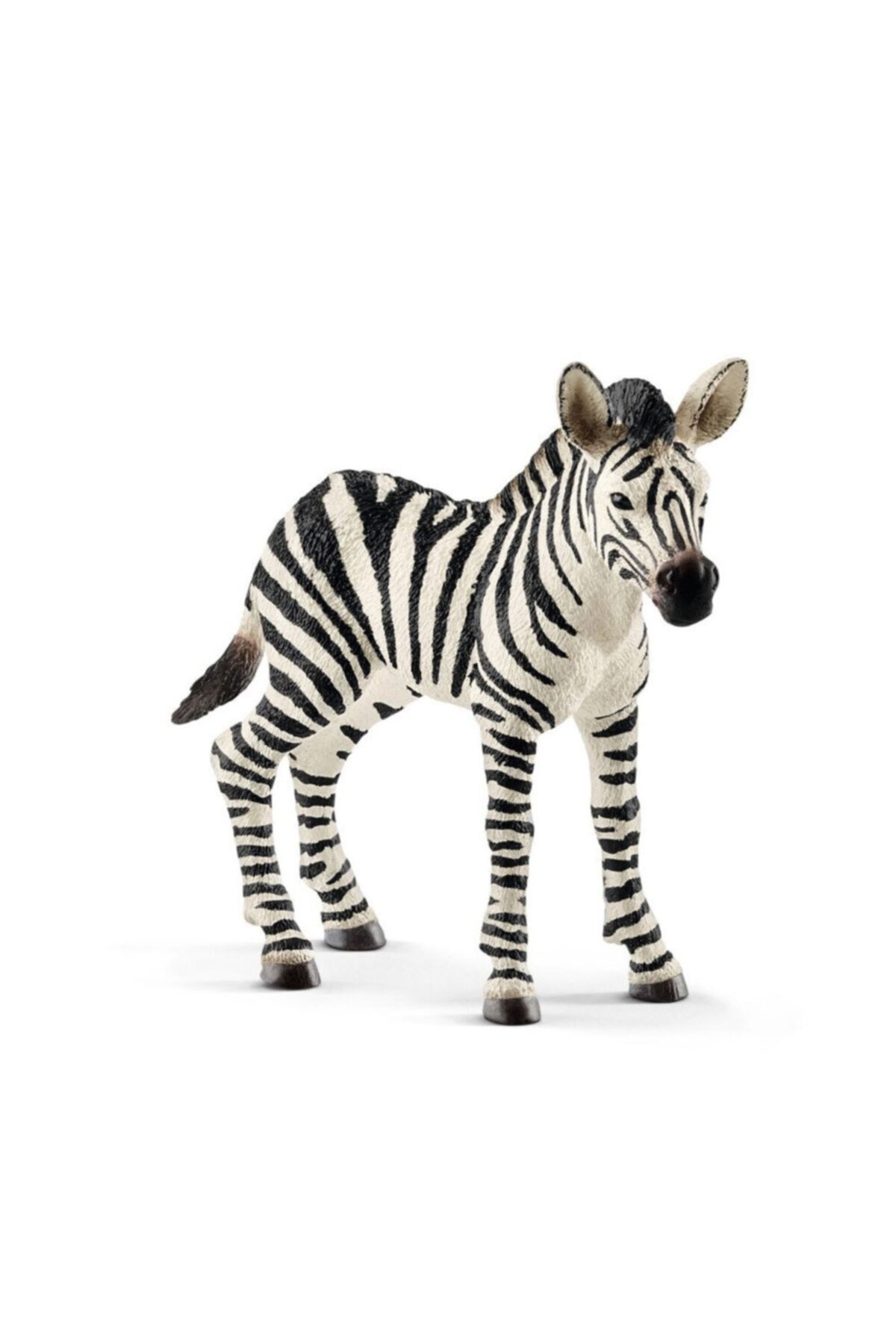 SCHLEICH Yavru Zebra CWL14811