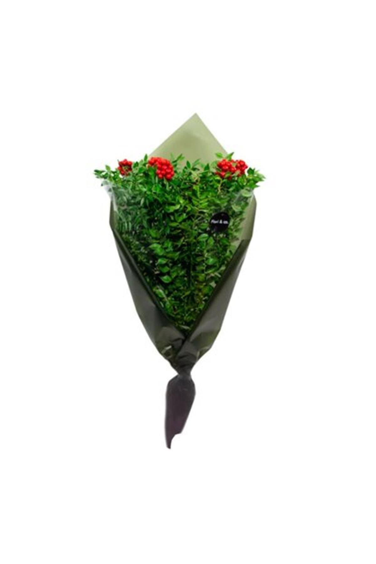 Flori&co Kokina Yılbaşı Buket