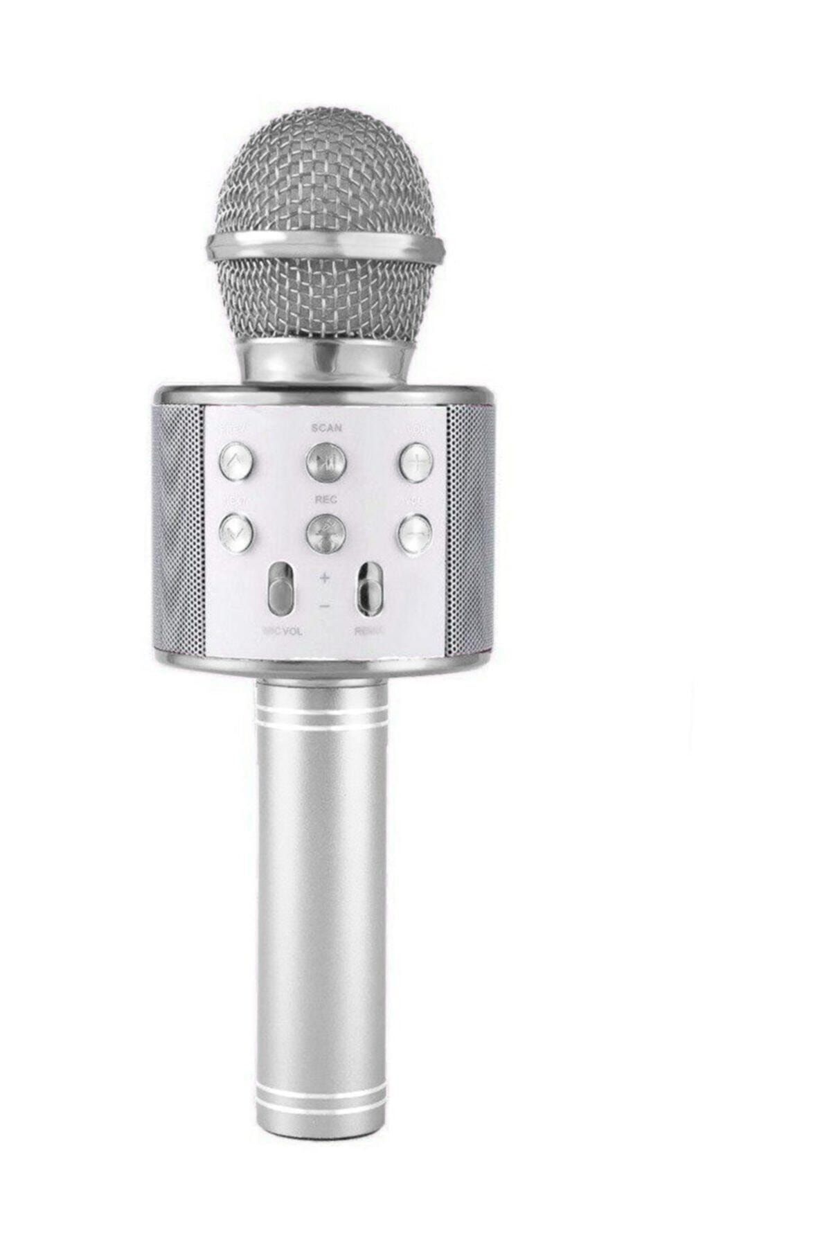 pazariz Silver - Gümüş Karaoke Mikrofon