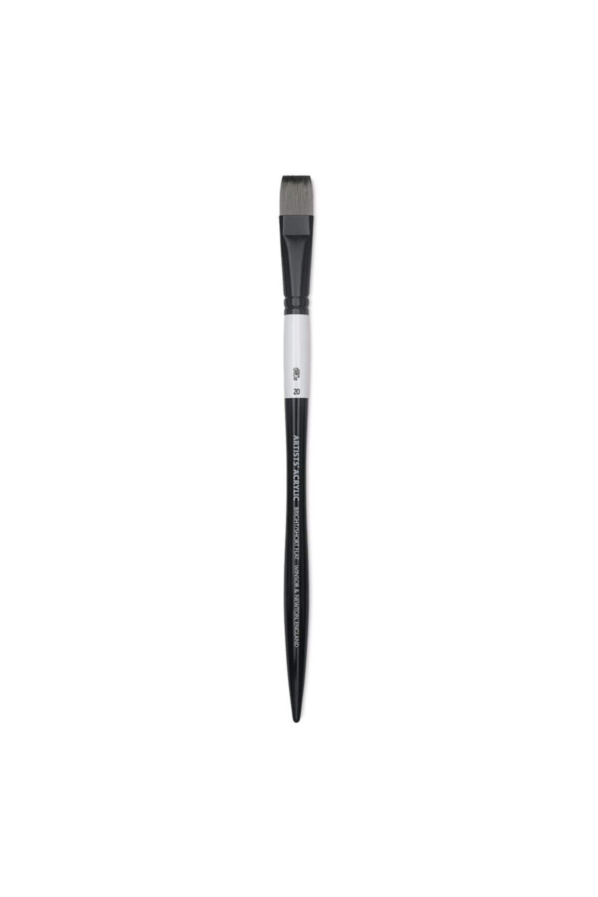 Winsor Newton Winsor & Newton : Professional : Sentetik Uzun Sap Kısa Yassı Fırça No : 20