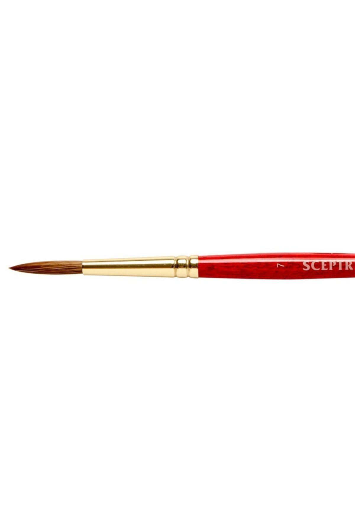 Winsor Newton Winsor & Newton : Sceptre Gold : 101 Serisi Kısa Sap Yuvarlak Fırça No : 7
