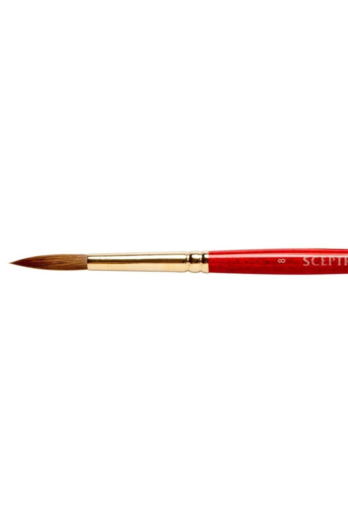 Winsor Newton Winsor & Newton : Sceptre Gold : 101 Serisi Kısa Sap Yuvarlak Fırça No : 8