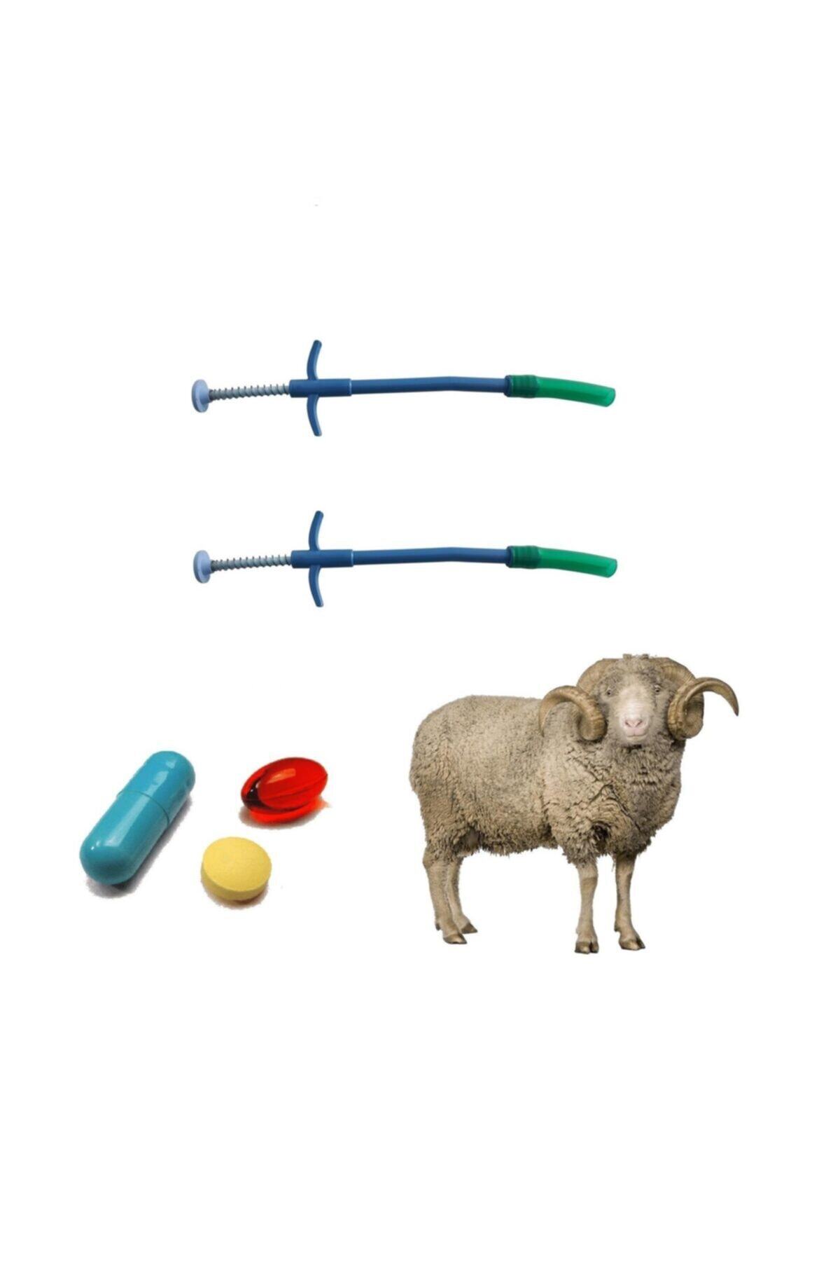 mutlu tavukçuluk Küçükbaş Koyun Keçi Plastik Hap Yutturma Sondası 2 Adet