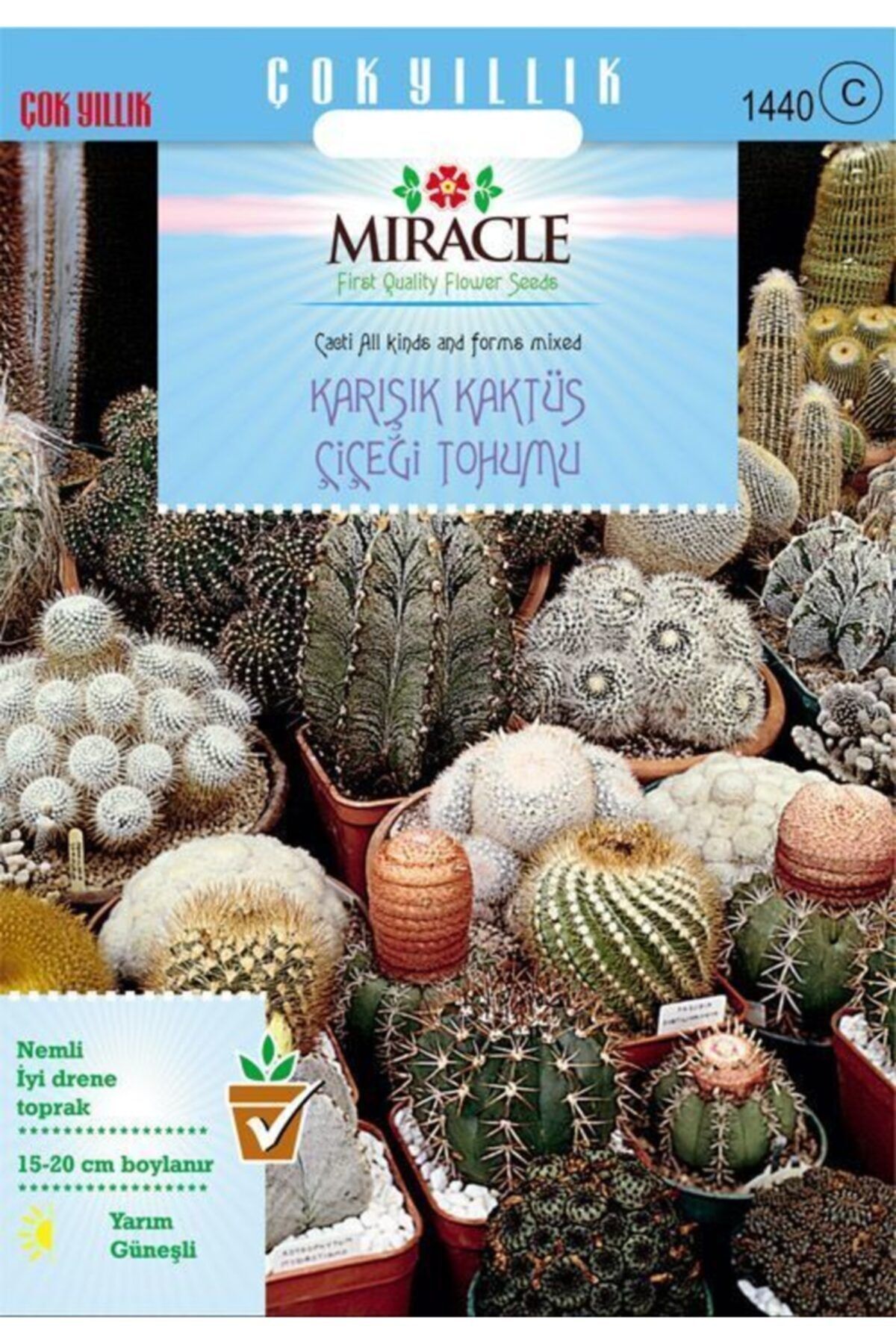 Miracle Tohum Miracle Karışık Kaktüs Bitkileri Çiçeği Tohumu (9000 Tohum)