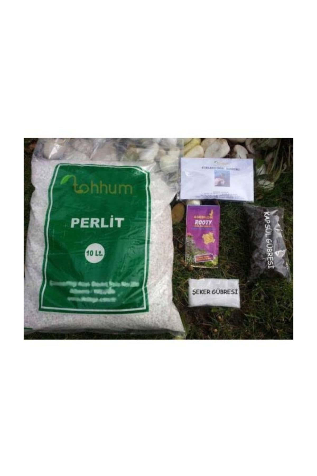 tohhum Perlit+köklendirme Tozu+besin