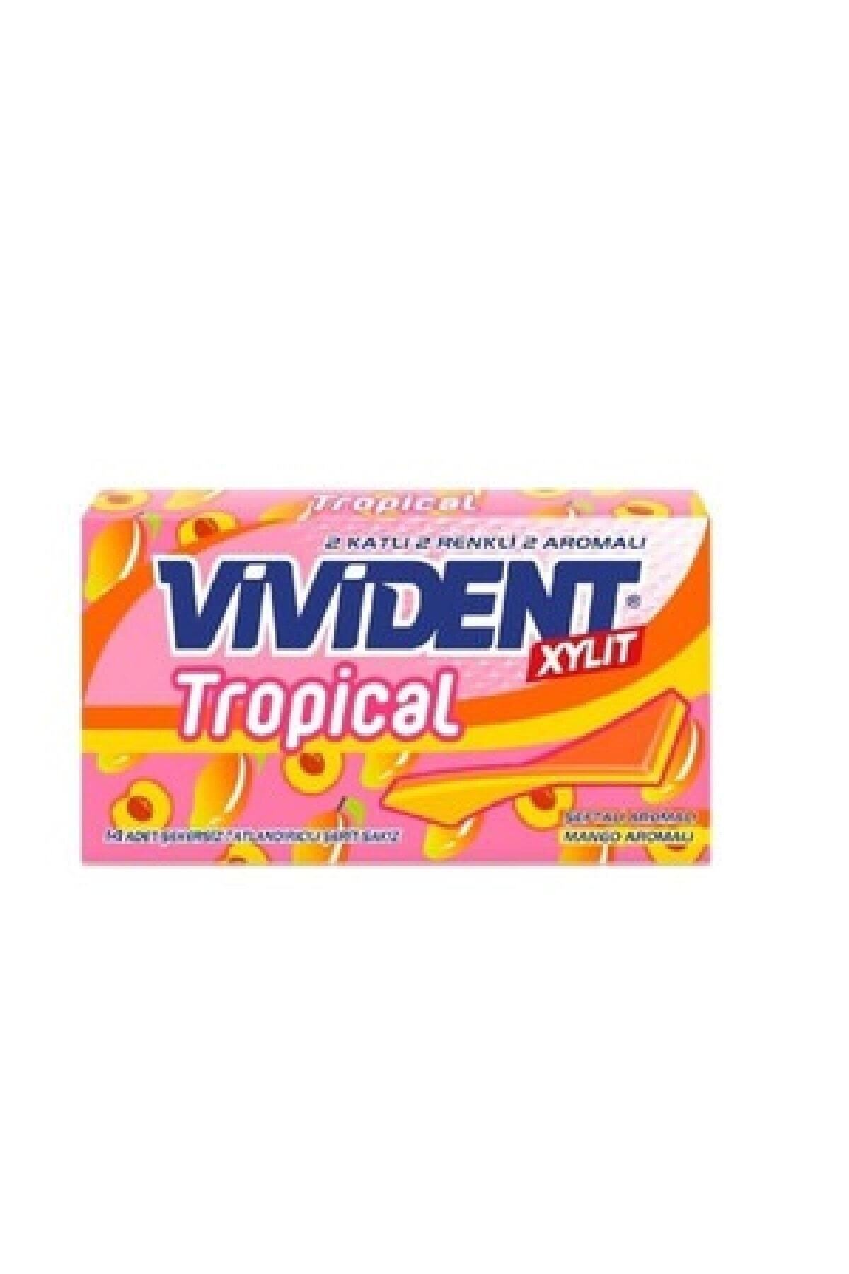 Vivident Cüzdan Tropical Hindistan Ceviz Sakız