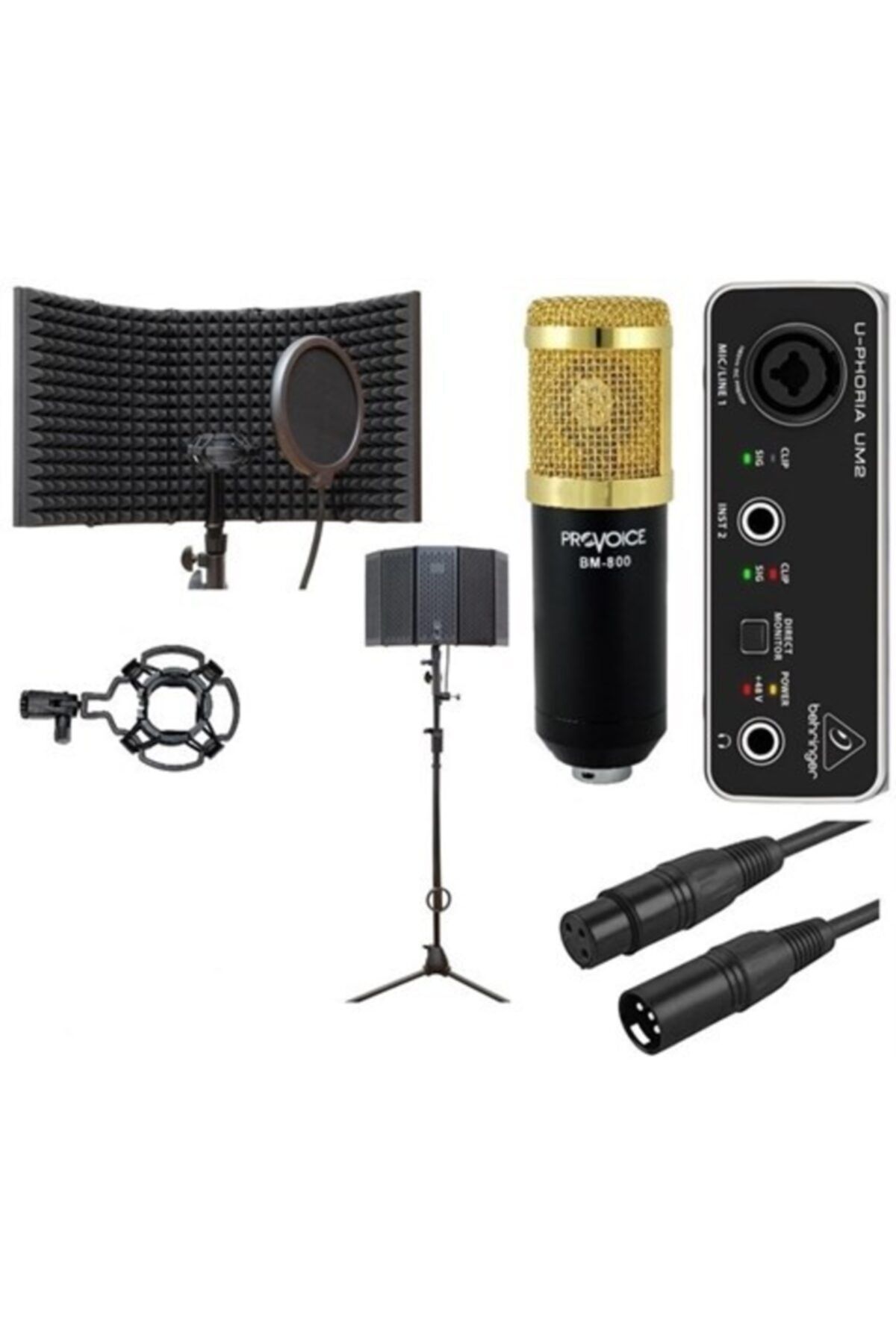 Provoice Siyah Audio Platin Studyo Ses Kayıt Full Set