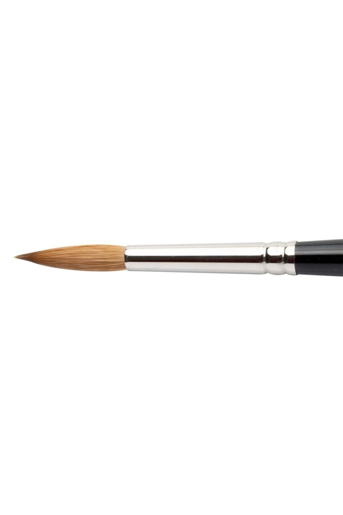 Winsor Newton Winsor & Newton : Seri 7 Samur Yuvarlak Fırça No : 8