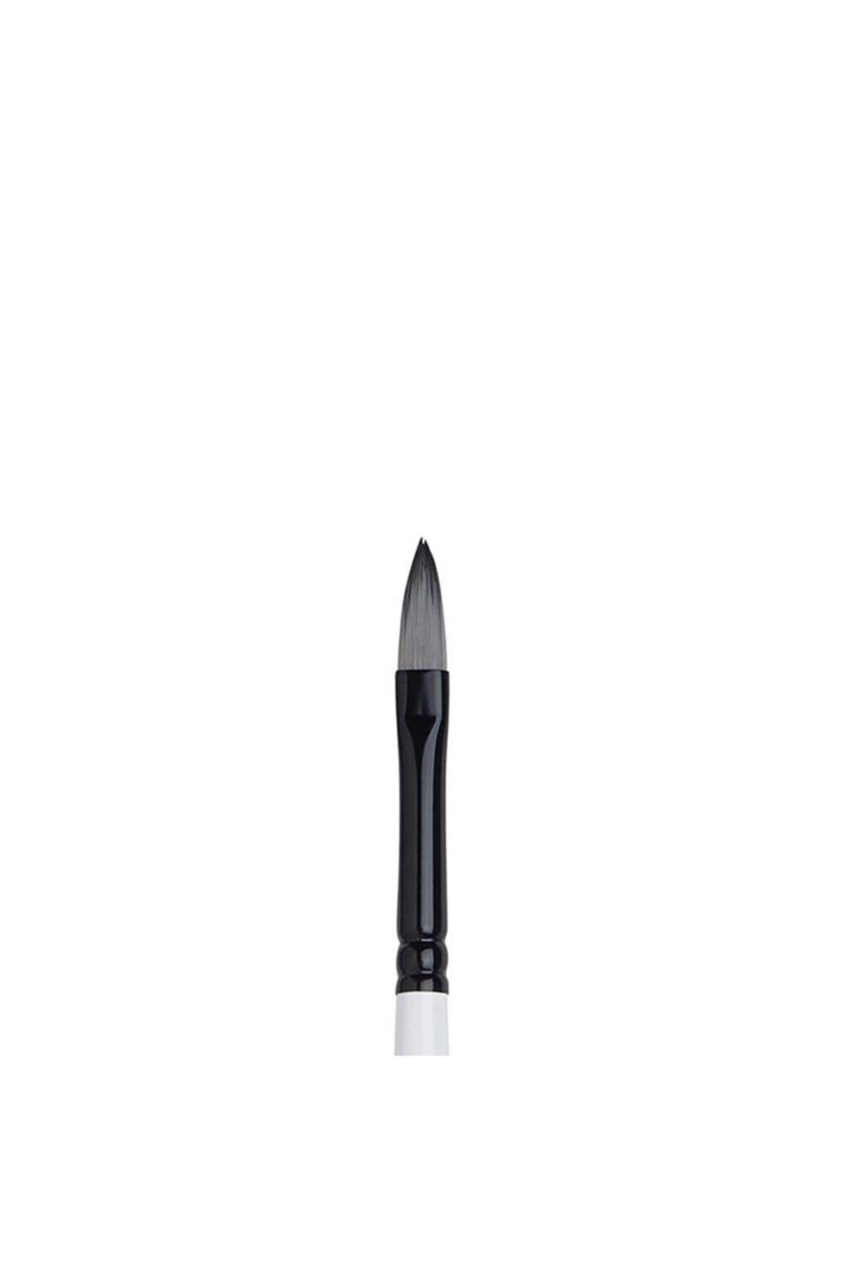 Winsor Newton Winsor & Newton : Professional : Sentetik Uzun Sap Kedi Dili Fırça No : 6