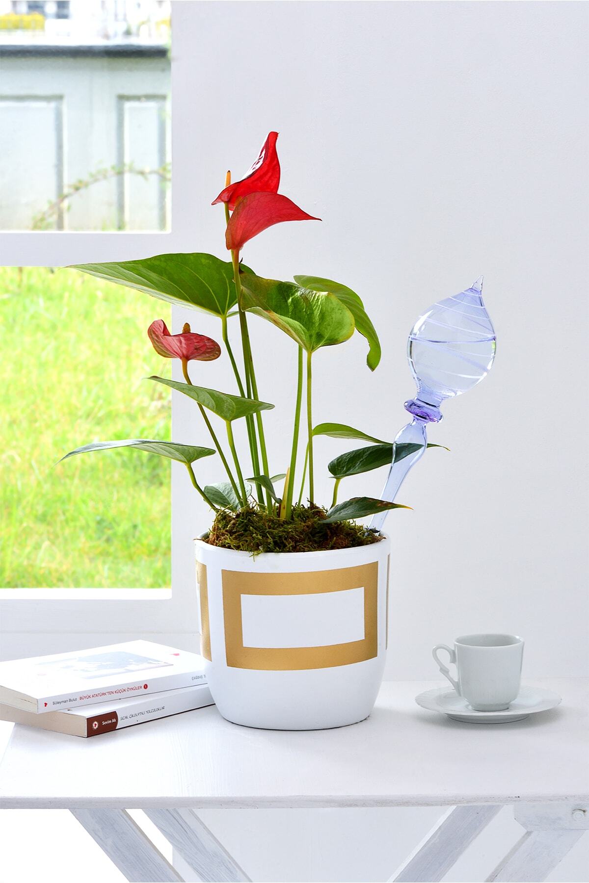 Flovart Model 2 Sarmal (DAMLA KUBBE) Cam Bitki Suluğu - Lila - Saksı Sulama - Çiçek Sulama - Çiçek Bakımı