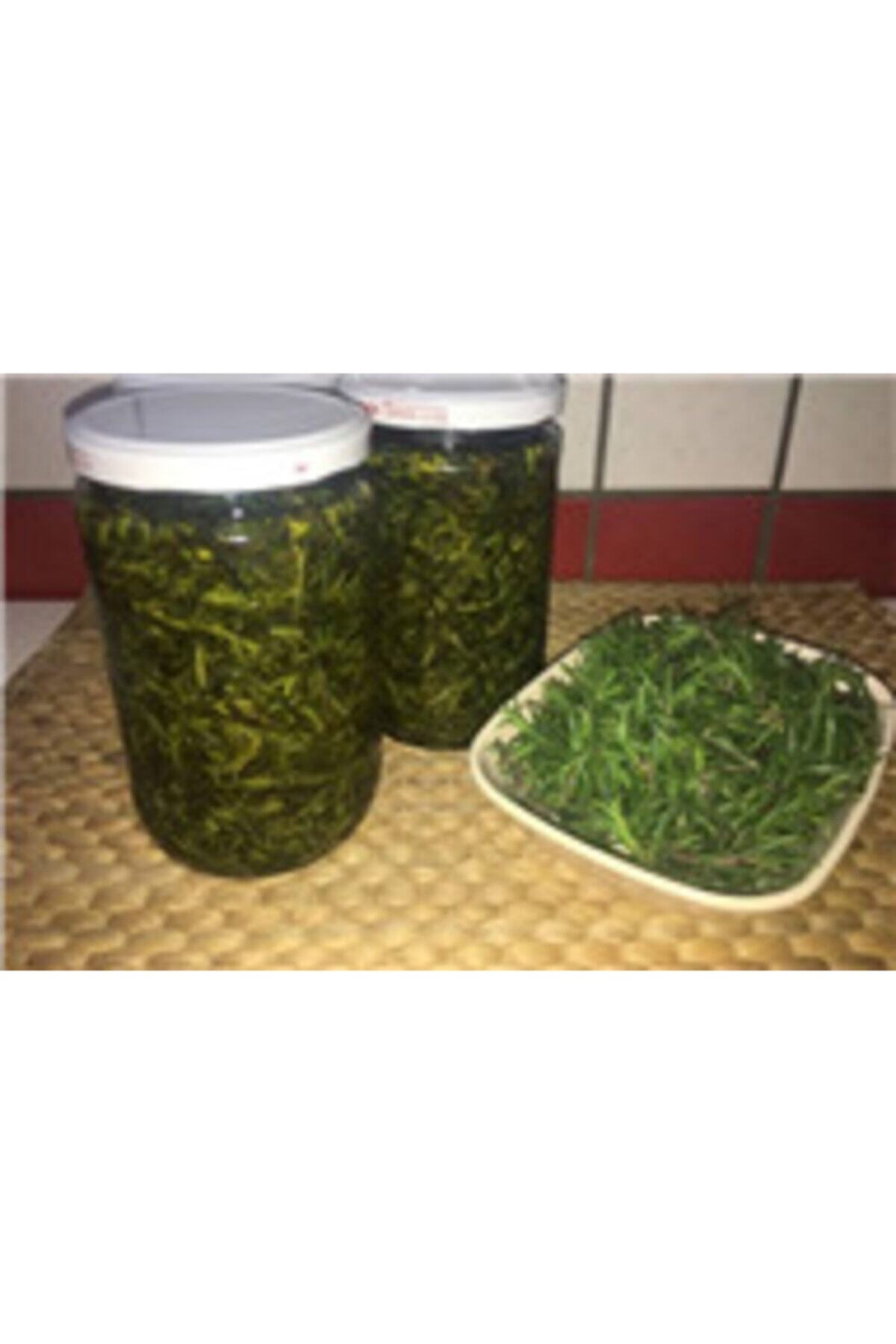 Gastroköy Hatay Kekik Yağda - 510 Gr
