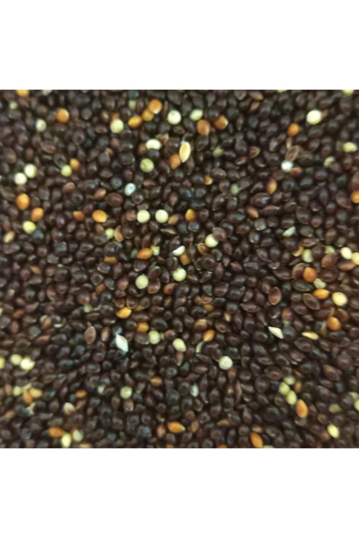 İngro Siyah Darı 25000 G