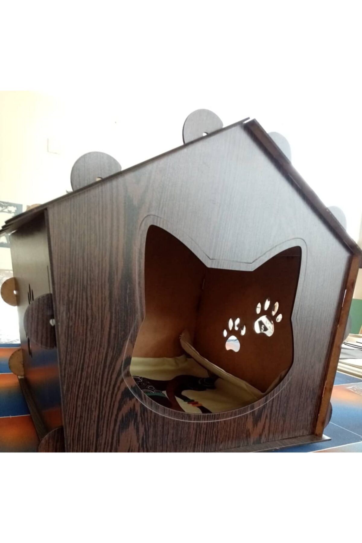 güven lazer Kedi Evi