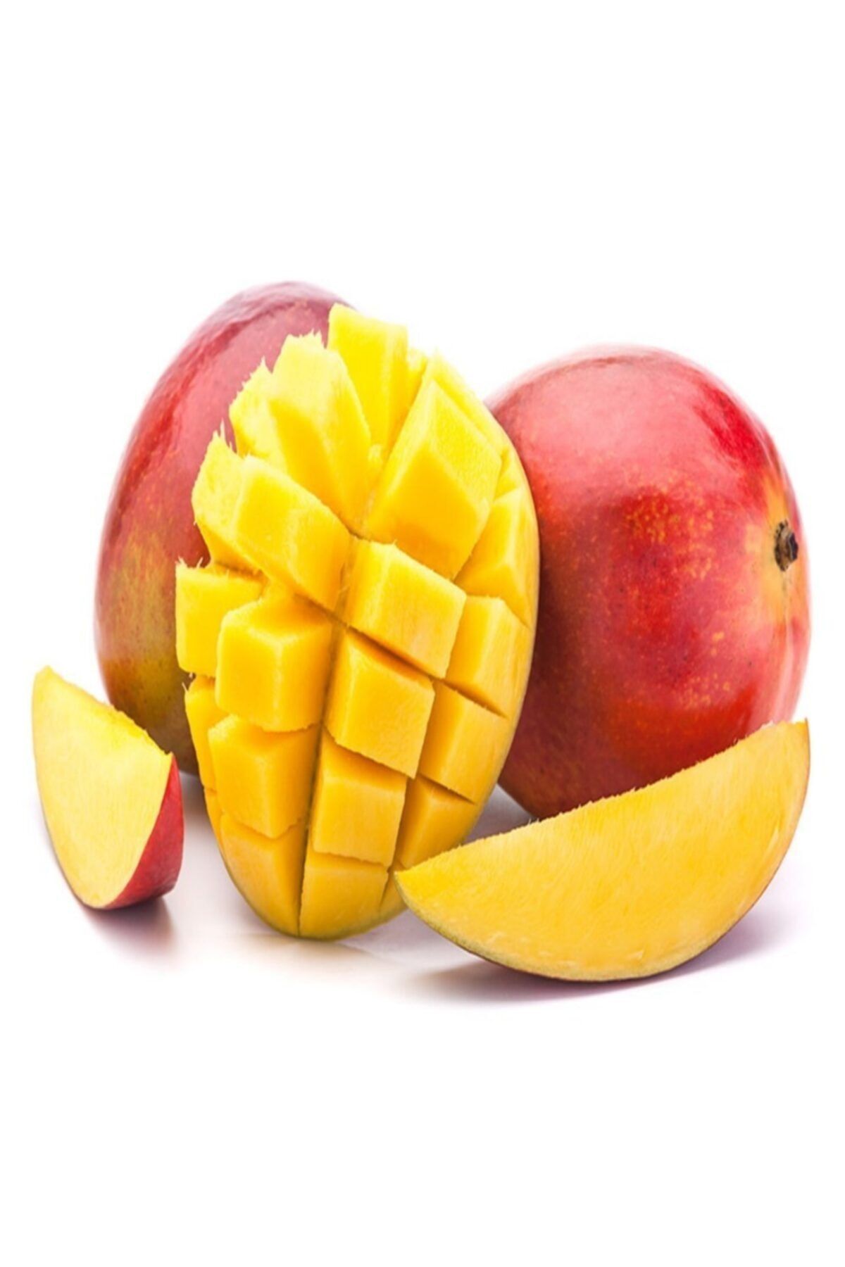 mutlu paket tuplu asili tropikal mango fidani fiyati yorumlari trendyol