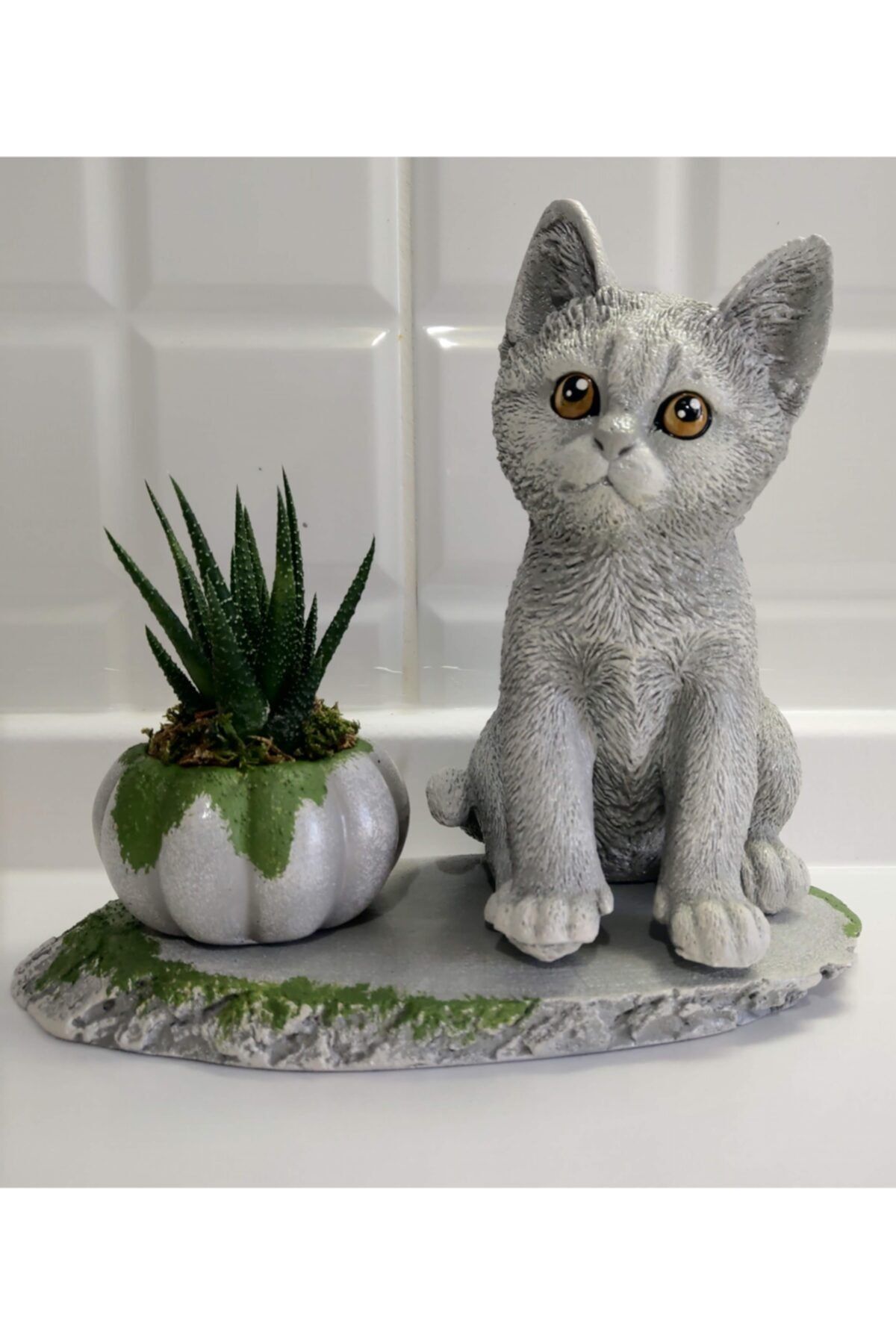 Kaktüs & Sukulent Kedi Figürlü 3d Dekoratif Saksı Canlı Sukulent Ile Birlikte!!!