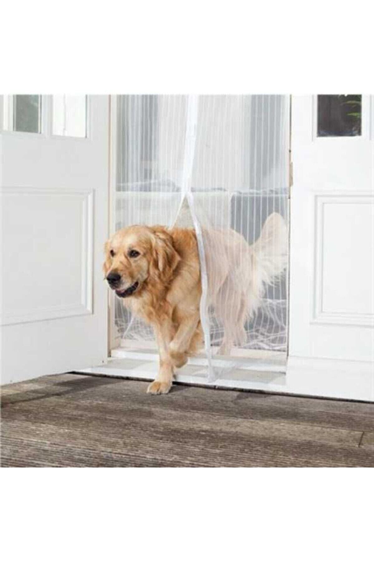 Door fly cheap screen curtain