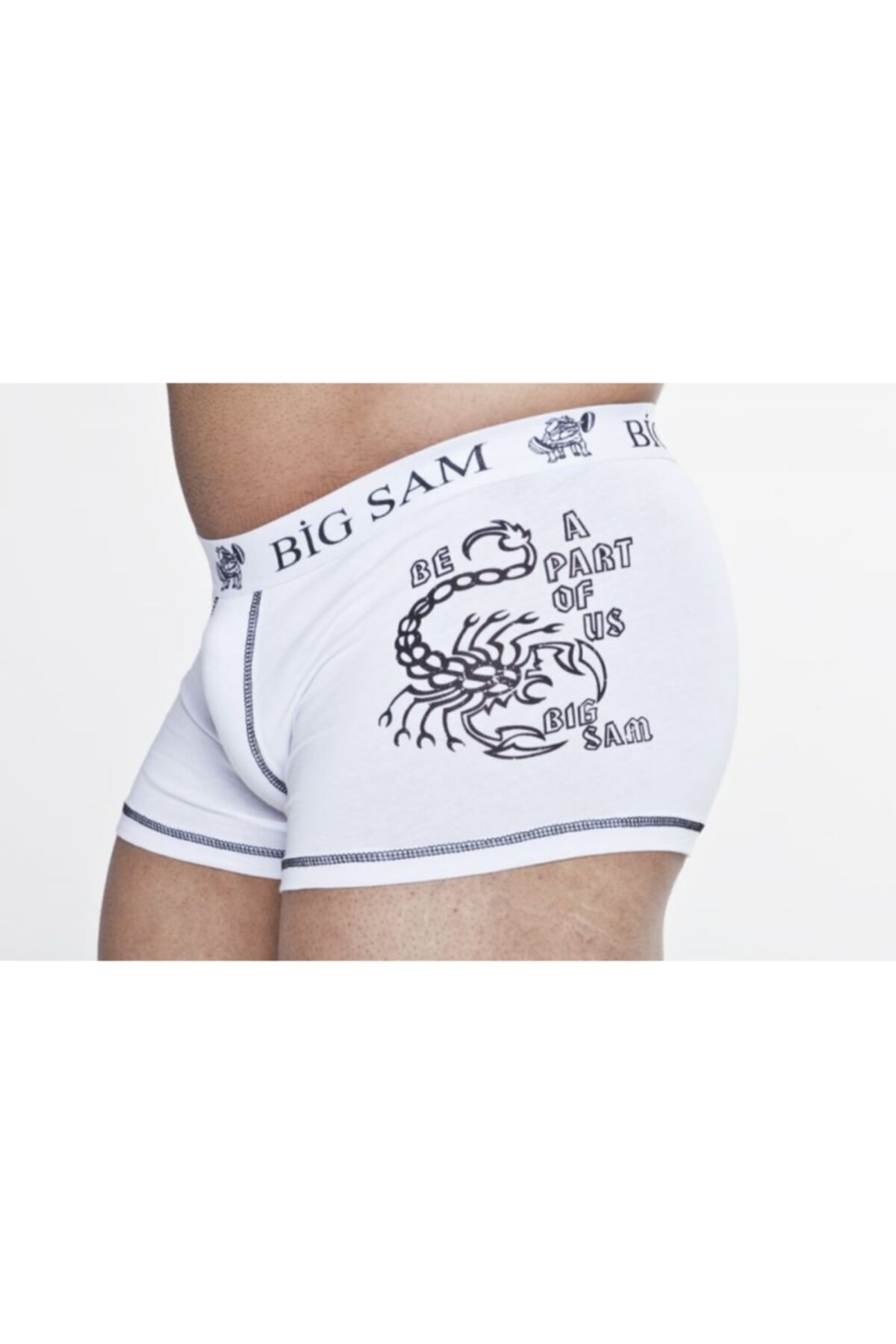 Big Sam Erkek Fitness Spor Boxer 1354