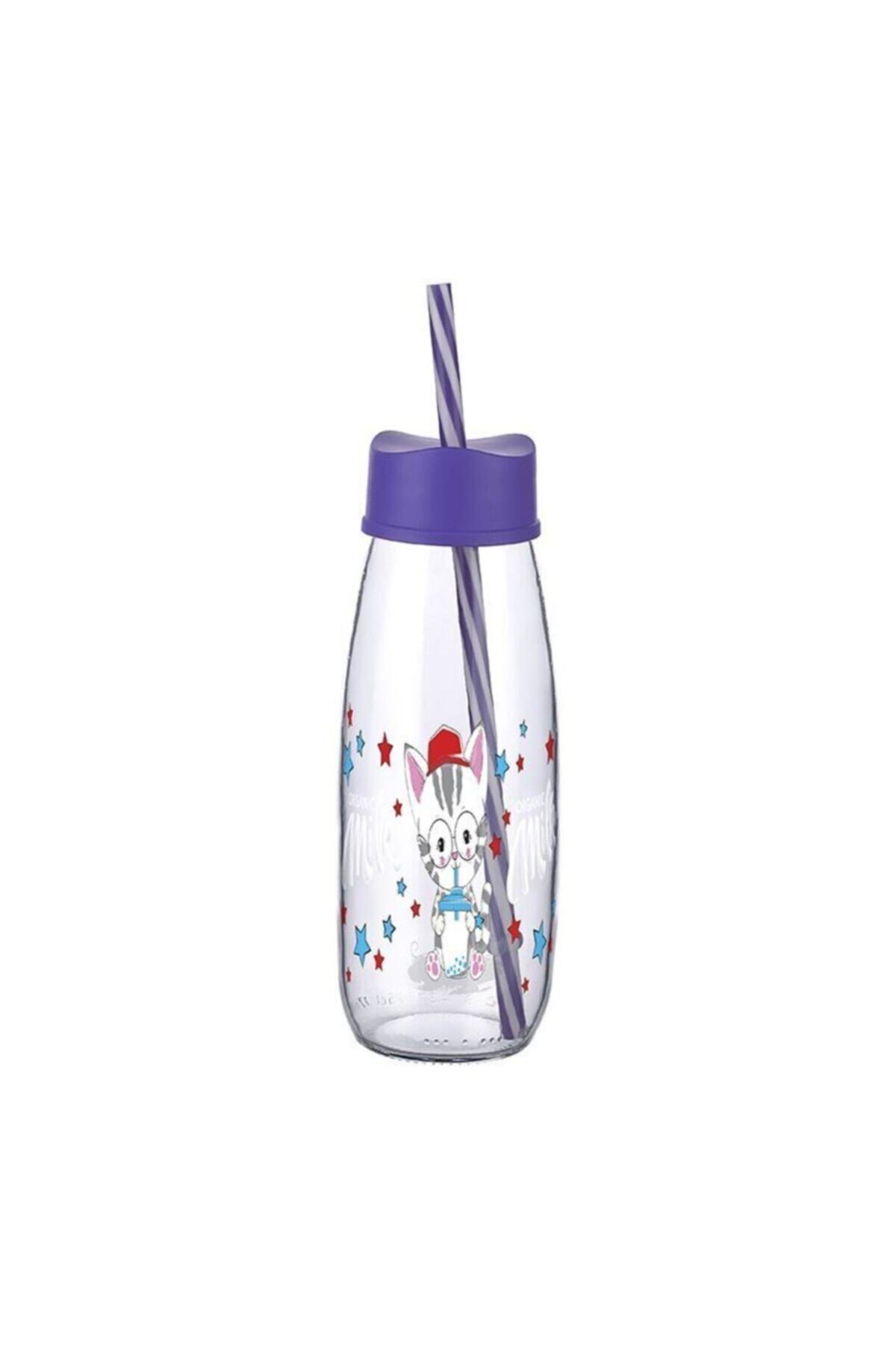 Cosargroup Titiz Desenli Cam Pipetli Süt Şişesi 500ml ml Orta Boy Mor