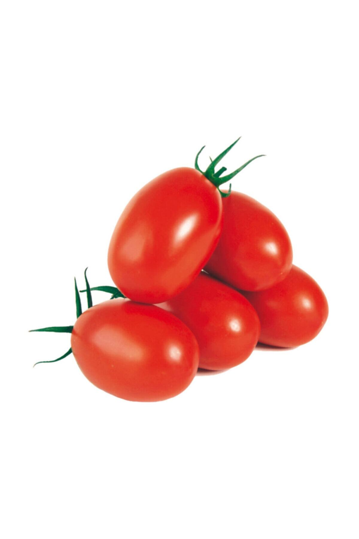Çam Tohumculuk Saksılık Zeytin Domates Tohumu 10 Adet Tohum Kahvaltılık Domates Tohumu