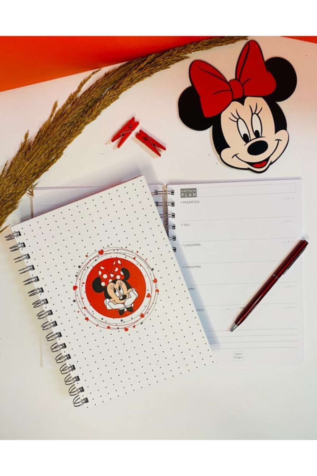 Defter Atölyesi Kırmızı Minnie Mouse 3'lü Set