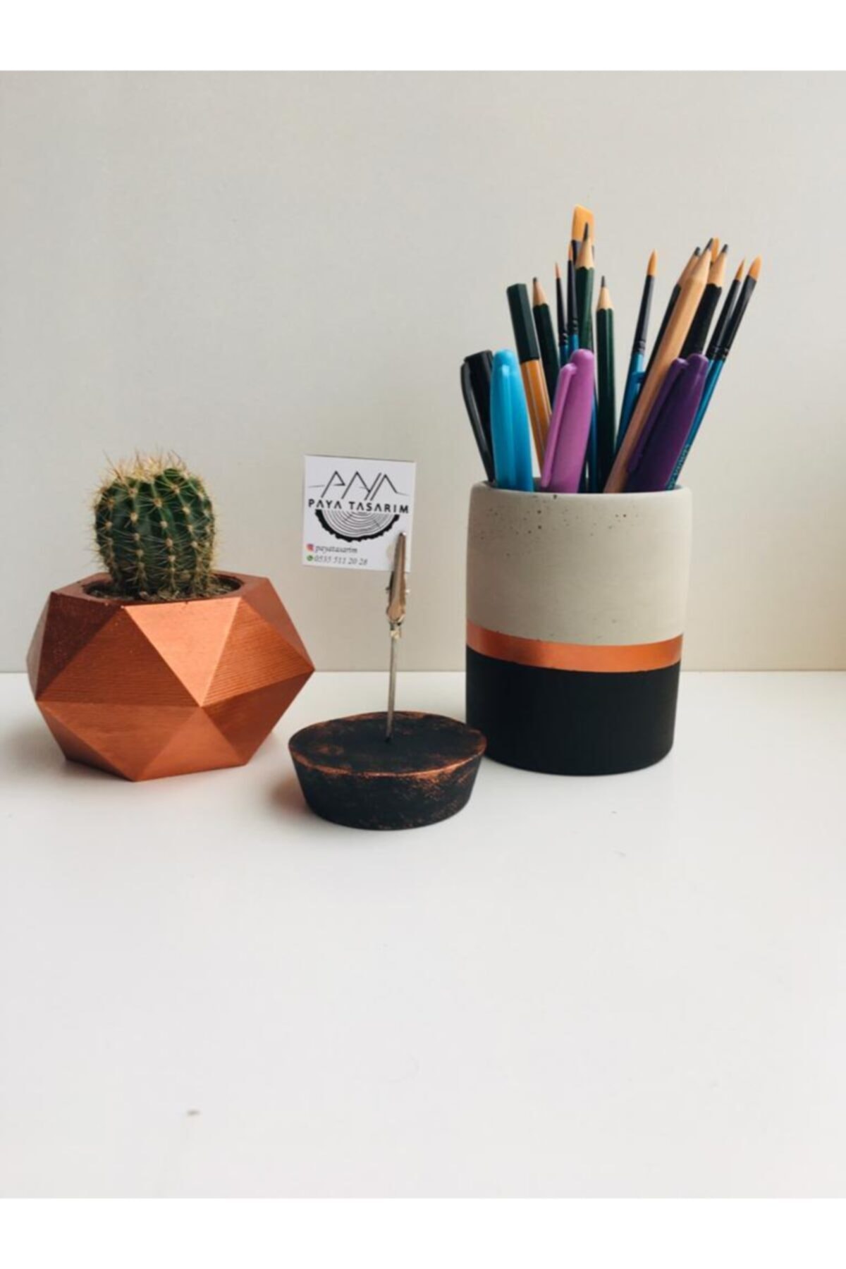 PAYATASARIM Beton Kalemlik Saksı Notluk Kaktüs Seti