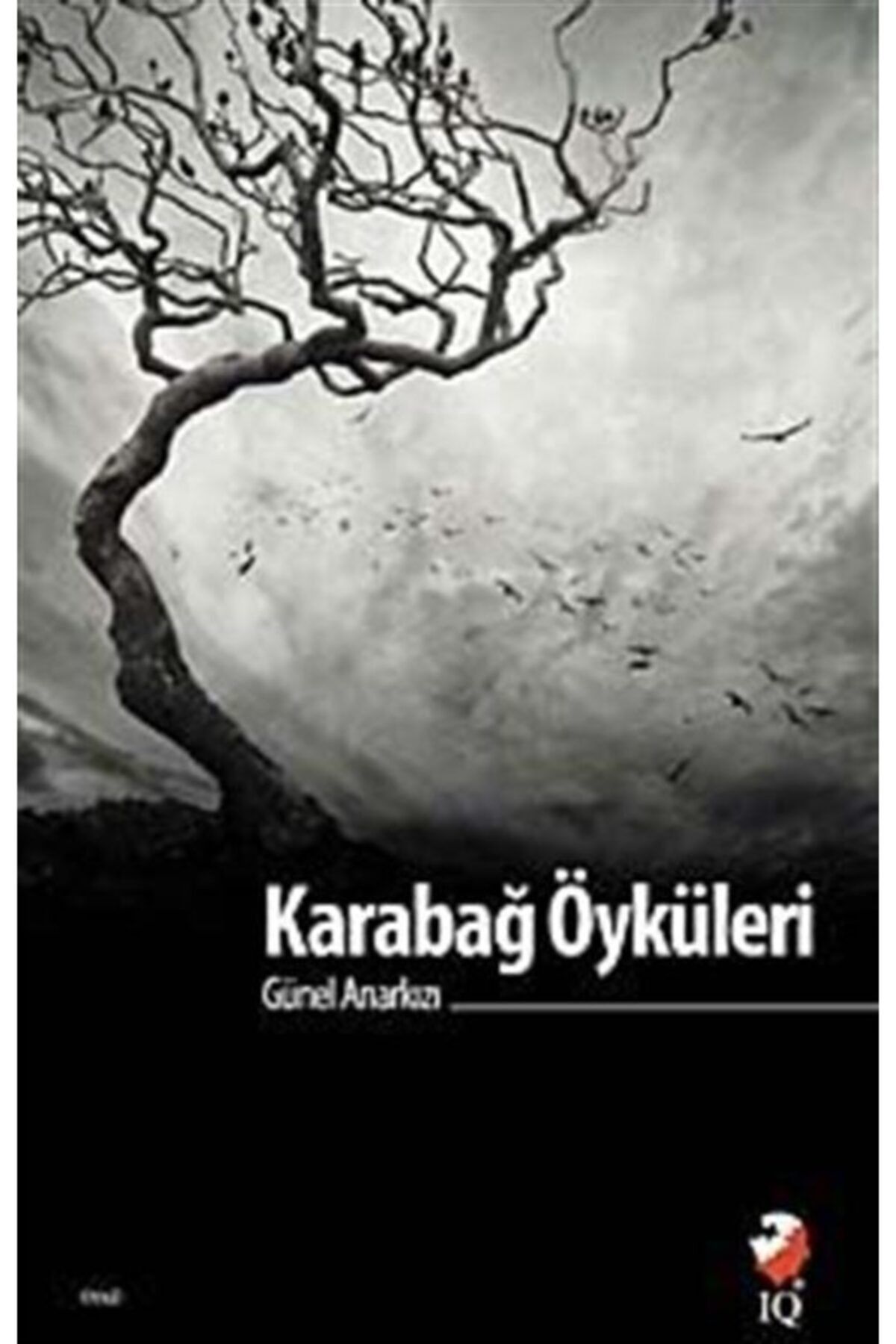 IQ Kültür Sanat Yayıncılık Karabağ Öyküleri