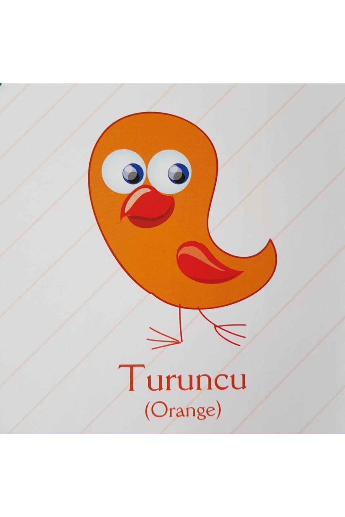 kids babies renkleri ogreniyorum turkce ingilizce kitap fiyati yorumlari trendyol