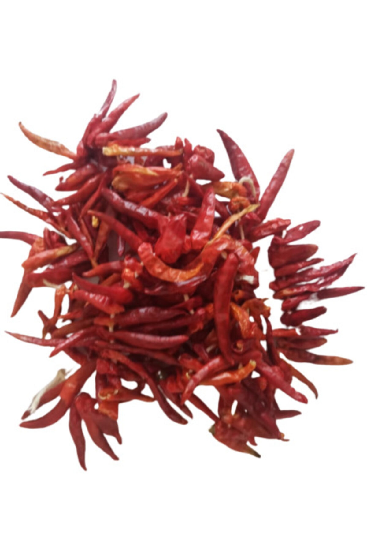 Frida 1 Dizi Acı Yakan Biber