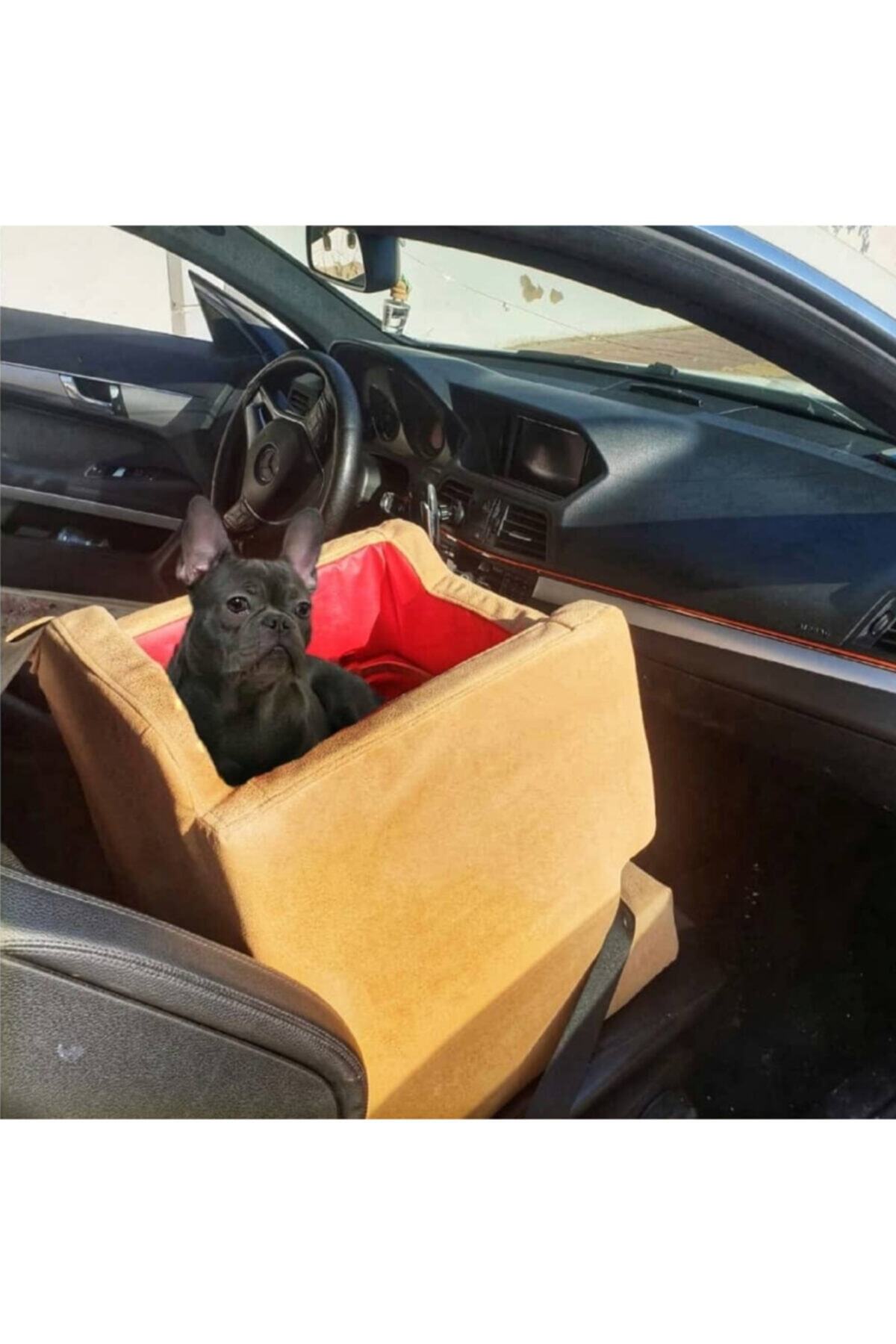 Pet Care Köpek Oto Koltuğu
