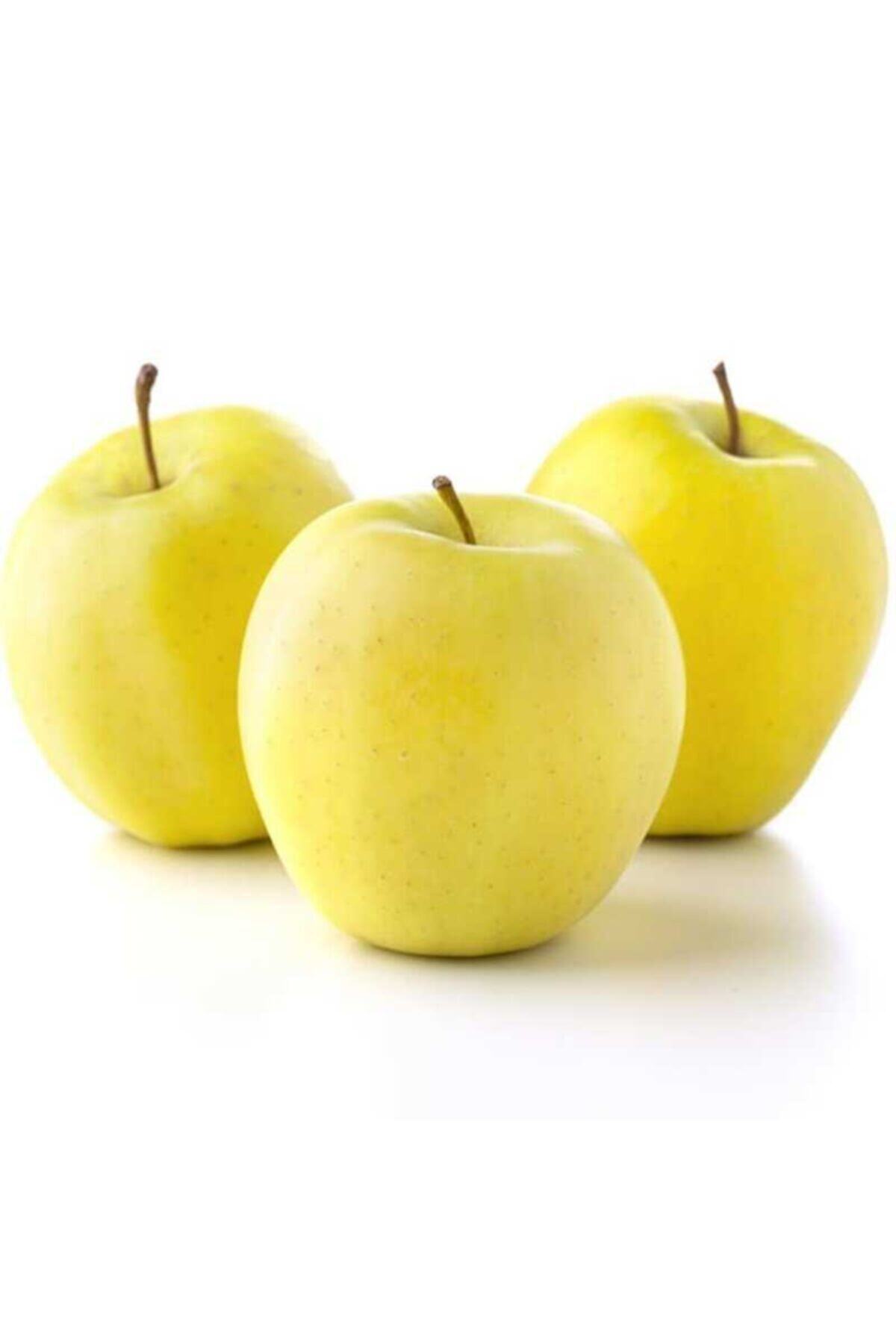 antalyasebzemeyve Elma Golden 1kg