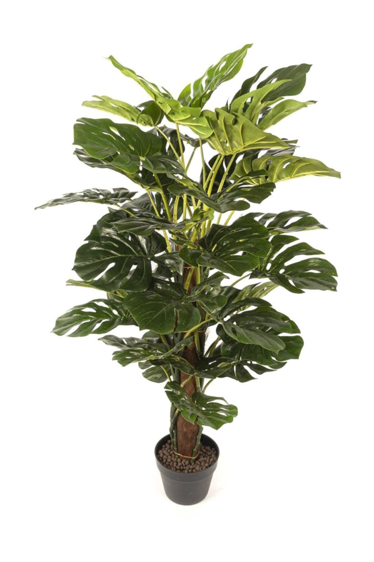 purebunny Yapay Devetabanı / Monstera 120 Cm Decoratif Ağaç