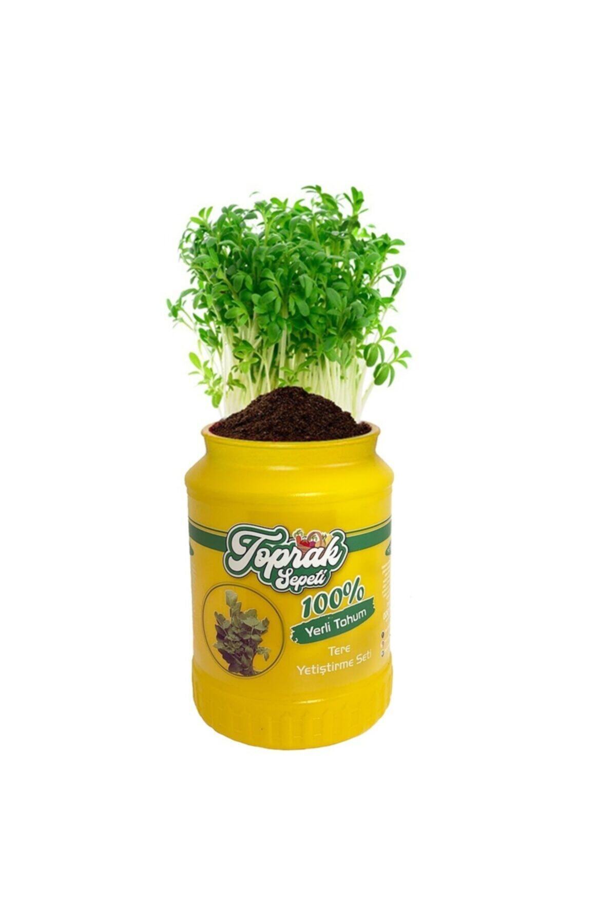 toprak sepeti Hobi Tere Yetiştirme Kiti