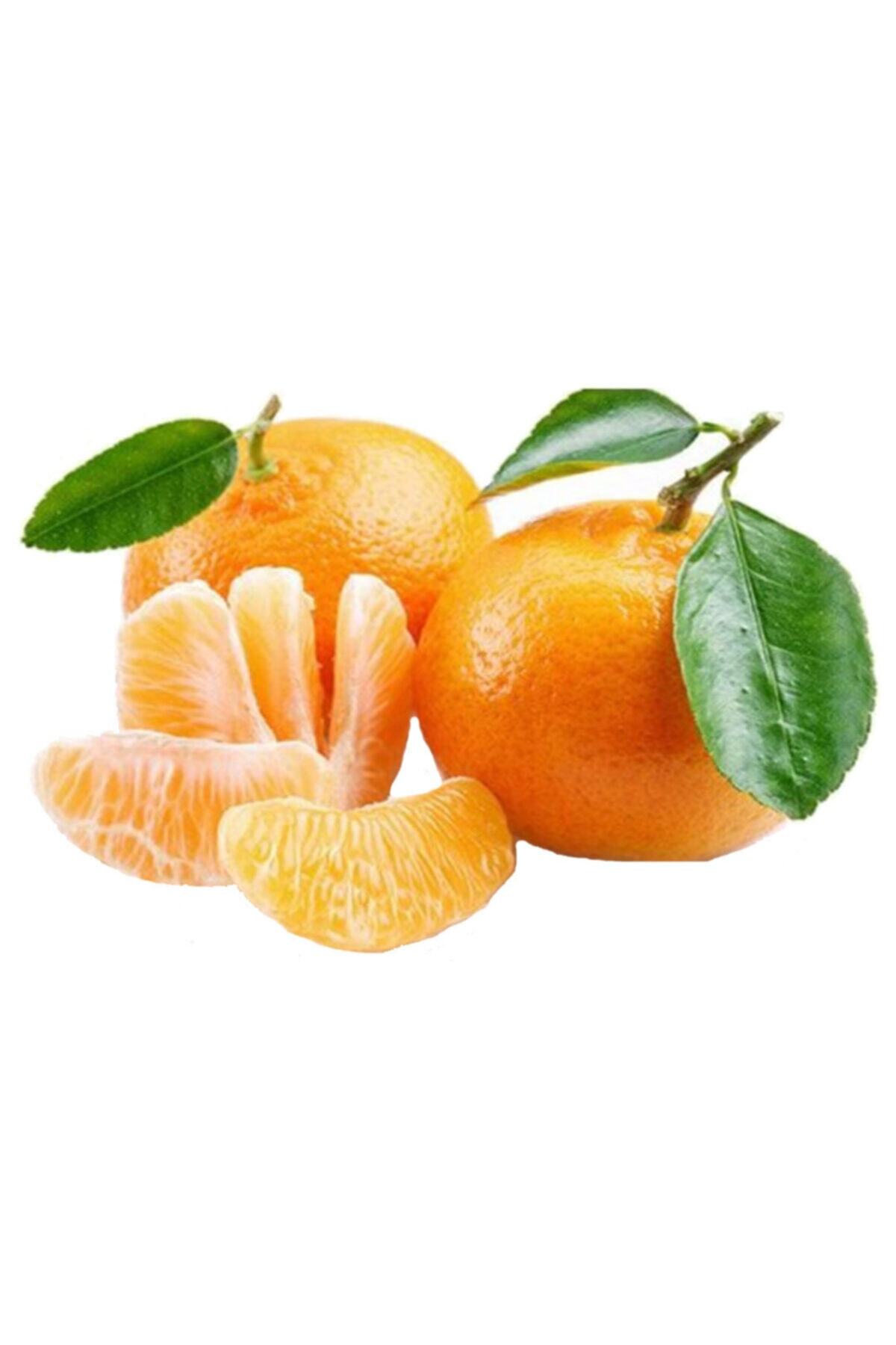 tazece Mandalina 1 Kg