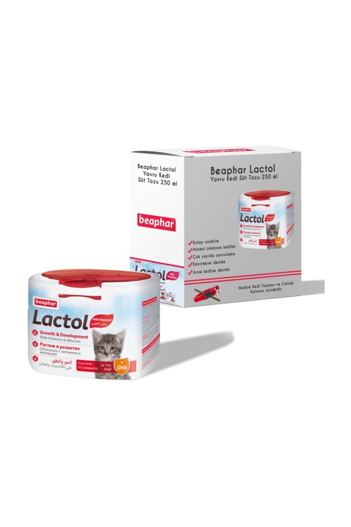 Beaphar Lactol Yavru Kedi Süt Tozu 250 ml