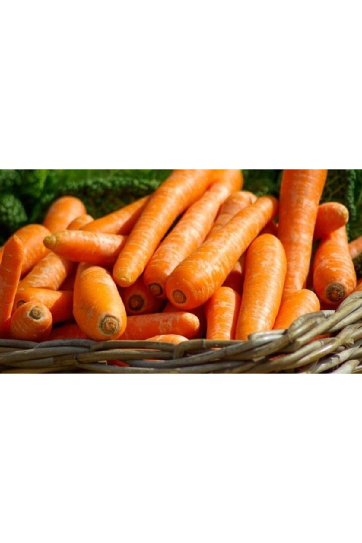 antalyasebzemeyve Havuç 1 Kg.